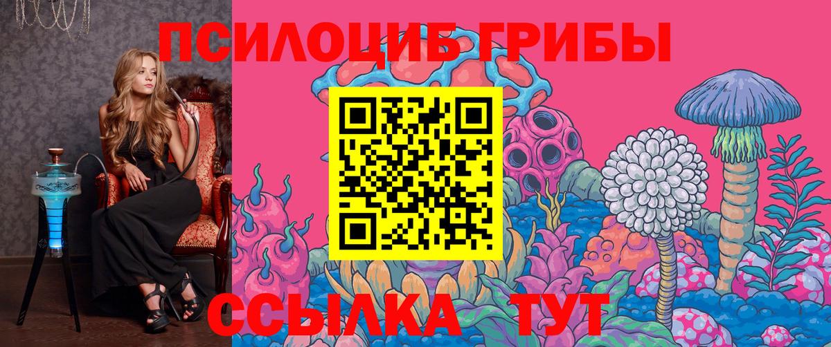 Псилоцибиновые грибы прущие грибы Славгород