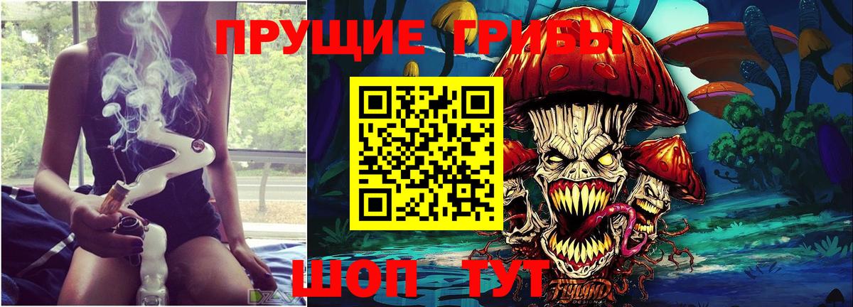 Псилоцибиновые грибы мицелий  Вход с VPN  Славгород 